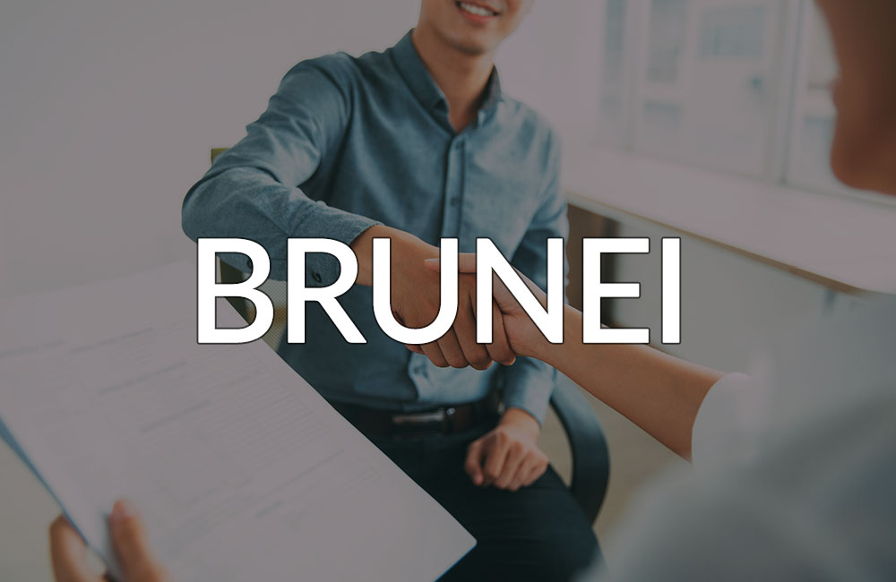 Working in Brunei banner